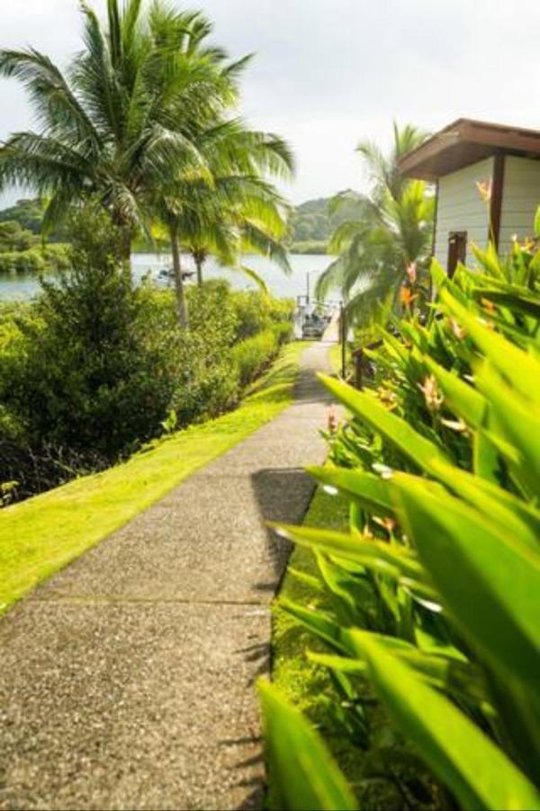 Casa Marlin Bed and Breakfast Bocas del Toro Exterior foto