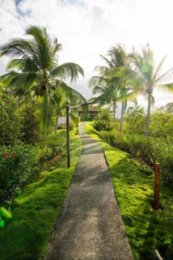 Casa Marlin Bed and Breakfast Bocas del Toro Exterior foto